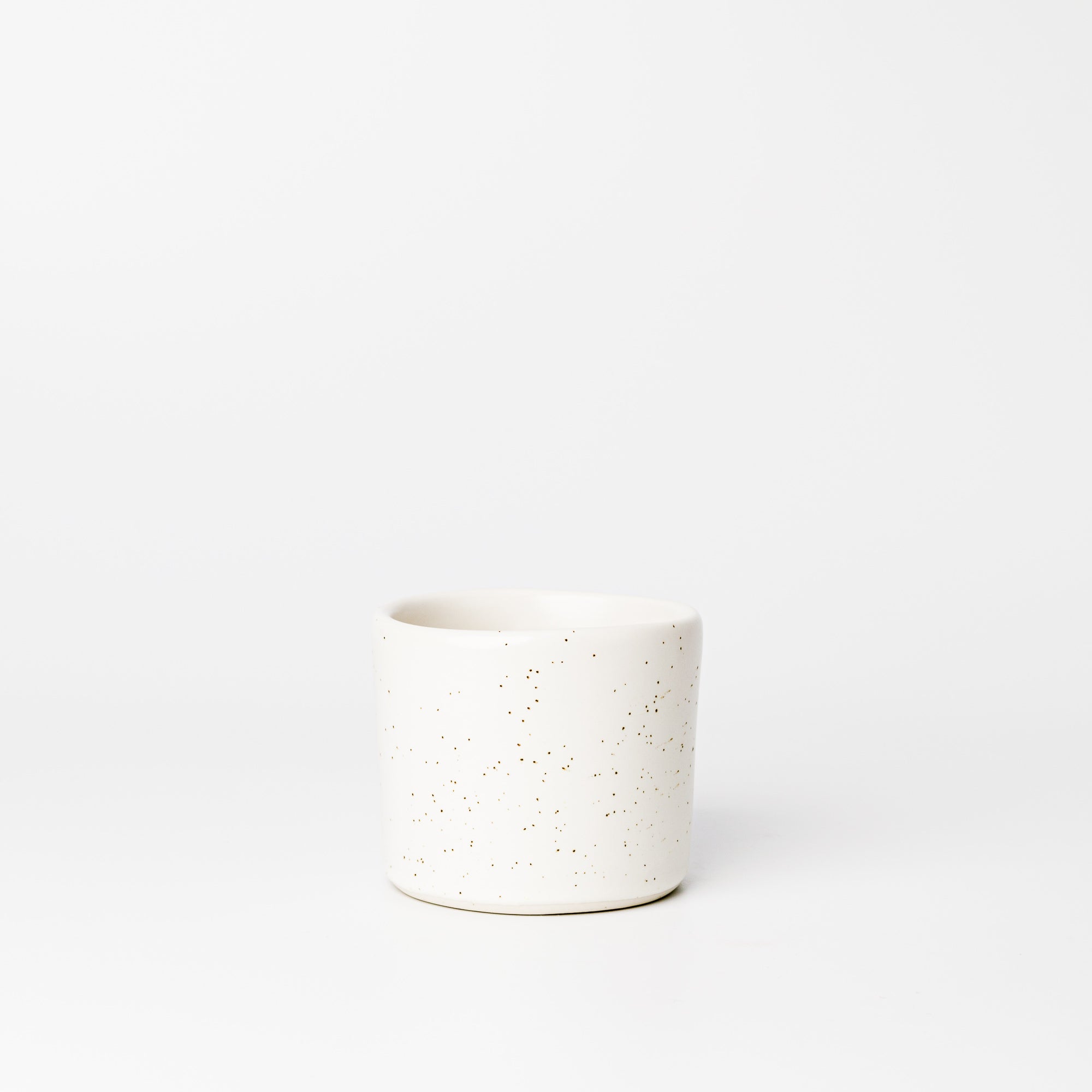 Birch